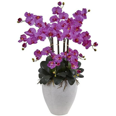 Phalaenopsis Orchid with White Planter
