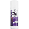 L'Oreal Paris Colorista 1 Day Hair Color Spray, 200 Purple, 2 oz