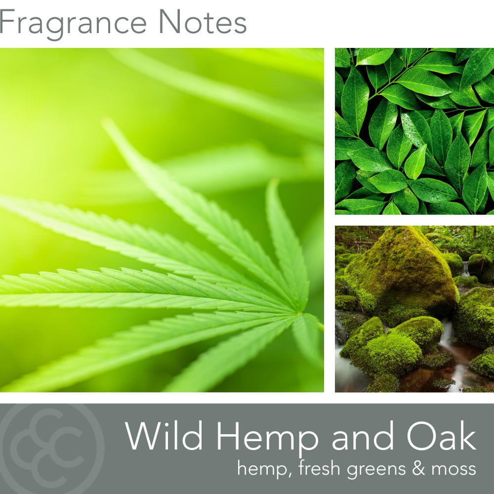 Colonial Candle Wild Hemp & Oak Scented Jar Candle, Scented Candles with Aromatic Fragrance and Two Premium Cotton Wicks, Wellness Collection, Woody Fragrance, 16oz - Up To 60 Hours Burn