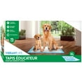 thumbnail image 4 of Vibrant Life Dog Pee Pads and Puppy Training Pads, XL (66*76cm), 4 of 5