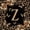 Brown Black Z, variant on Catabedysis Cheetah ABC Print A Zipper Twin Comforter Sets with Fitted Sheet and 2 Pillowcases,Personalized Monogram Gifts Zipper Bedding Set For Girls,Black Reversible,4-Piece