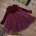 thumbnail image 2 of Princesse Enfants Bébé Filles Robe de Velours Robe Polaire Robe de Soirée Tulle Tutu Robe pour 1-6T, 2 of 5