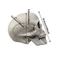 thumbnail image 3 of Life Size Skeleton Skull for Halloween Decor Graveyard Outdoor, White Realistic Skull Prop for Haunted House Yard Lawn Display, Halloween Party Decoration, Bone Head Statue for Garden, 3 of 7