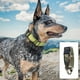 thumbnail image 4 of Collar táctico para perros, collar de entrenamiento ajustable de nailon para perros medianos y grandes., 4 of 5