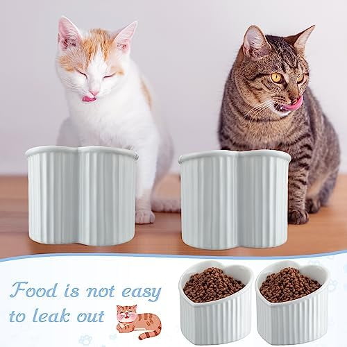 2 Pcs Ceramic Elevated Cat Bowls Tilted Elevated Raised Pet Bowls Anti Vomit Cat Dish for Indoor Stress Free Water Dish Feeder for Puppies, Heart Shaped(Pearly White)