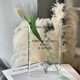 thumbnail image 5 of Jarrón Transparente Libro Acrílico Sala Estar Arreglo Flores Hidropónicas High T () White, 5 of 7