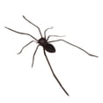 thumbnail image 1 of SUQI Spider Fridge Magnet 3D Realistic Fridge Magnet Decor Home/ Lifelike Design US NEW, 1 of 7