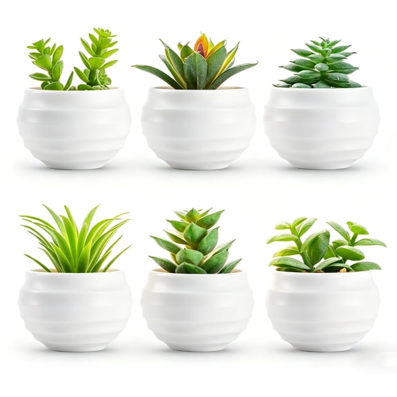 6-Piece Artificial Succulent Plants in Pots – Small Fake Plants for Bedroom, Living Room, Bathroom, and Office Decor