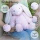 thumbnail image 3 of El peluche BriBri Bunny Rose, el peluche más suave del mundo, 40 cm, 3 of 6