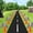 18PCS, variant on Mini Traffic Cones(With Hole on Top)with Racing Checkered Flags, Sports Safety Cones for Soccer Cones and Basketball Practice Equipment - Mini Orange Cones for Soccer Practice and Small Driving P