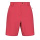 thumbnail image 1 of Regatta - Pantalones Cortos Mountain II para Mujer (Rosa Rethink), 1 of 6