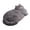 Gray Cat, variant on Cat Shaped Floor Mat Absorbent Area Rug Cute Animal Bathroom Bedroom Decorative Playmat