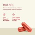 Organic Beet Root Capsules Beet Root Capsules Made in the USA