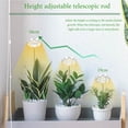 thumbnail image 3 of Luces de cultivo para plantas pequeñas de interior, luz de planta de espectro completo de 48 LED blanco cálido, altura ajustable con adaptador de 5 V 2 A, temporizador de 3/9/12 H, 3 modos, 3 of 5
