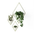 thumbnail image 6 of Umbra Trigg Ceramic Hanging Planter Wall Décor, Set of 2 White/Brass, 6 of 17