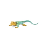 Safari Ltd. Collared Lizard Figurine - Realistic 7.25 Figure - Educational Toy for Boys, Girls, and Kids Ages 3+