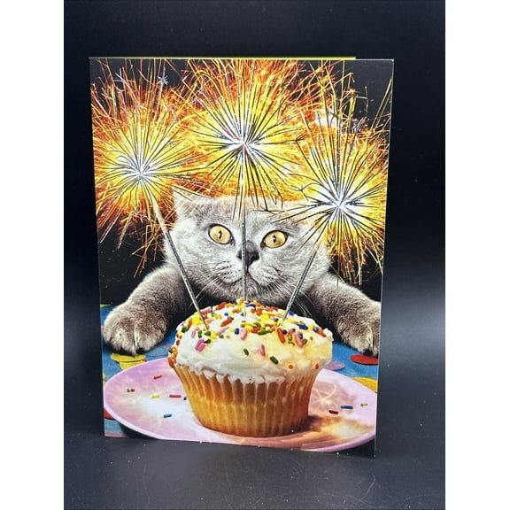 Happy Birthday (Cat) Greeting Card w/Envelope