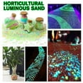 thumbnail image 3 of Fluorescent Macadam Glow-in-the-Dark Decorative Pebbles for Garden, Aquarium, Vases - Multicolor Options, 3 of 9