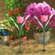 thumbnail image 1 of Hongzer Lámpara de energía Solar, 4 Piezas de energía Solar al Aire Libre Tulipán Luz de Flor LED Impermeable Decoración de lámpara de jardín de césped, Adornos de Patio de Jardines(Rosado) EOTVIA NO, 1 of 6