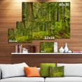 thumbnail image 3 of Lush Rainforest dans Cathédrale Grove - Impression sur Toile Paysage, 3 of 4