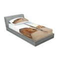 thumbnail image 2 of Ambesonne Galaxy Fitted Sheet & Pillow Sham Set, Planet Town Wars Image, Twinxl, Brown Blue, 2 of 2