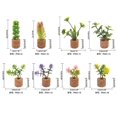 thumbnail image 2 of Imanes de nevera para plantas suculentas artificiales - Imanes de nevera para plantas suculentas en macetas - Lindas pegatinas para pizarras magnéticas, refrigerador, 2 of 5