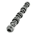 thumbnail image 2 of maXpeedingrods 12629512 Camshaft Fit for Chevy Camaro Corvette Silverado Cadillac Escalade GMC Sierra Yukon 2014+ GenV 4.3L 5.3L 6.0L 6.2L, 2 of 7