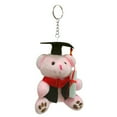 thumbnail image 6 of TOPRenddon Graduation Bear Plush Toy with Detachable Doctoral Cap – 12cm Keepsake Stuffed Animal for Grads, Car Accessory, Keychain Charm | Bachelor’s Gown Gift for College, High School, 6 of 8