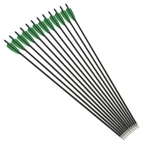 AMEYXGS 6/12Pcs 30Inch Carbon Arrow Spine 500 Practice Hunting Arrows with 100 Grain Removable Tips for Compound & Recurve Bow & Longbow