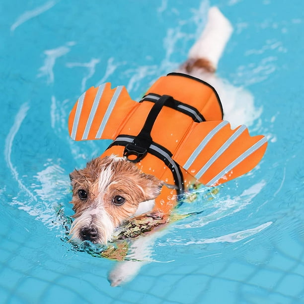 Dog swimming jacket best sale