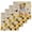 Beige, variant on Sunflowers Dog Kitchen Dish Towels for Drying Dishes Set of 3, Spring Watercolor Floral Stars Wood Grain Waffle Weave Microfiber Hand Tea Bathroom Towels Quick Dry & Absorbent Towel 15.7x23.6