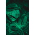thumbnail image 2 of Hamedani, Ardalan 17x24 White Modern Wood Framed Museum Art Print Titled - Green like life, 2 of 4