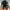 Black, variant on Womens Rash Guard UV UPF 50+ Long Sleeve Surfing Two Piece Swimsuits with Built in Bra