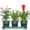 green, variant on 4W Indoor Metal Herb Garden Planter Set, 3 Pots with Tray and Chalkboard Labels, Green