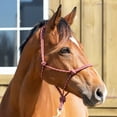 thumbnail image 2 of Equinavia Rope Halter, 2 of 2