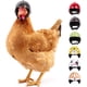 thumbnail image 2 of Casco Protector de cabeza de pájaro pequeño para mascotas, gorros de pato, aves de corral, suministros para mascotas, recién llegado, 1 piezas, 2 of 4