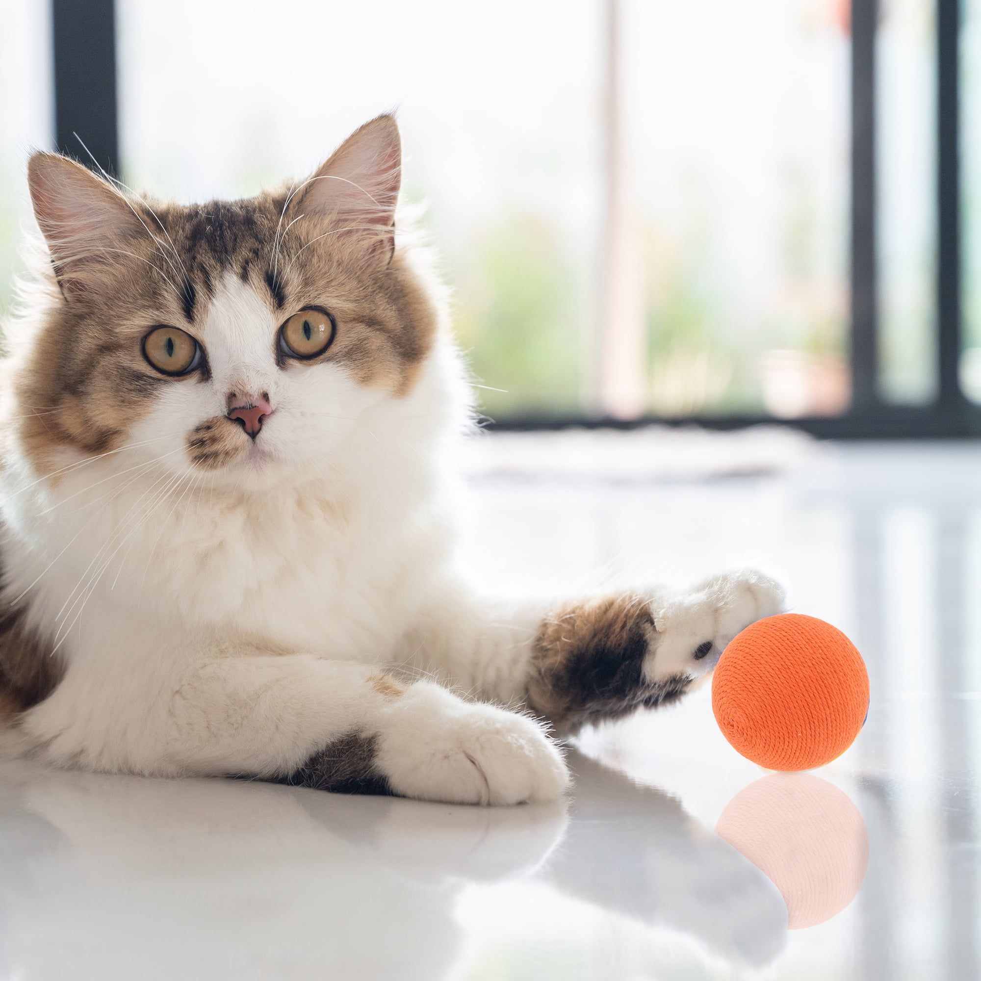 Unique Bargains Playing Ball with Bell for Cat Playtime Orange