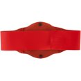thumbnail image 3 of WWE Raw Tag Team Championship Title, 3 of 4