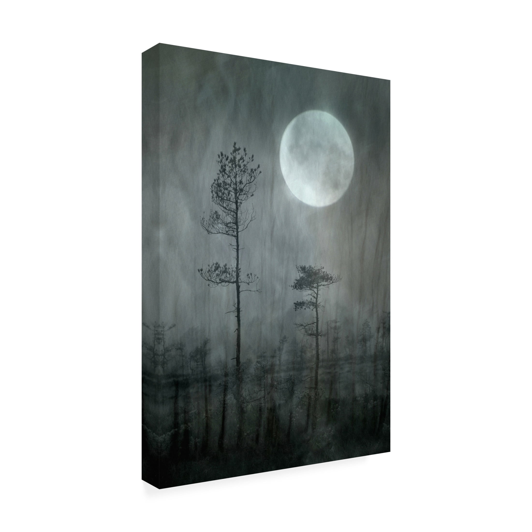 Canvas Wall Art - Christina Sillen 'Under The Moon' Wall Art for Living Room, Bedroom, or Office D?cor by Trademark Fine Art - 22 x 32 Inches
