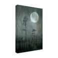 thumbnail image 2 of Canvas Wall Art - Christina Sillen 'Under The Moon' Wall Art for Living Room, Bedroom, or Office D?cor by Trademark Fine Art - 30 x 47 Inches, 2 of 4