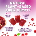 thumbnail image 4 of Fiber Gummies – Sugar Free Prebiotic Plant-Based Fiber 4g per Serving Supplement - Improved Soluble Formula Supports Digestive Health & Regularity - Non-GMO, Natural Berry Flavor Chewable, 60 Gummies, 4 of 10