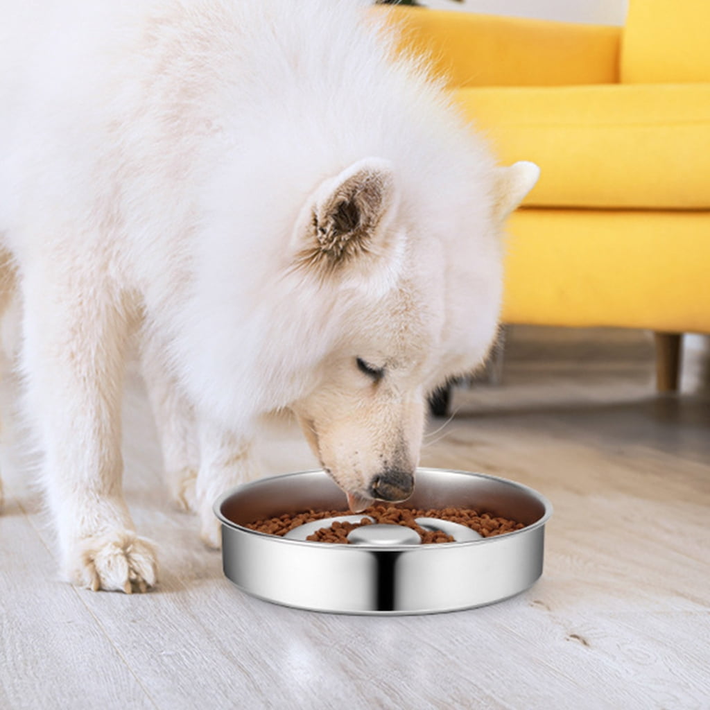 Pet Slow Feeder Dish Stainless Steel Feeding Bowl Dishwasher Safe For Small Puppy and Kittens