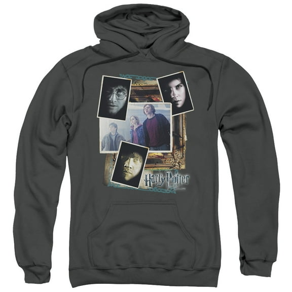 Trevco HP8034-AFTH-1 Harry Potter & Trio Collage Adult Pull Over Hoodie, Charcoal - Small