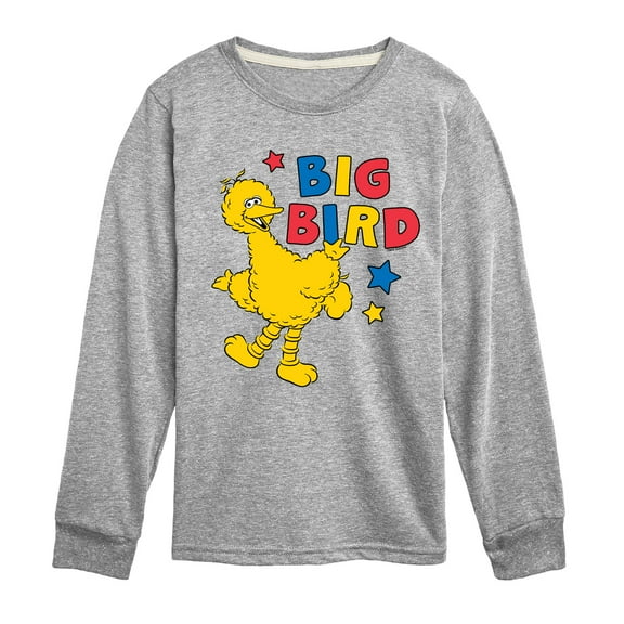 Sesame Street - Big Bird Color Block - Toddler and Youth Long Sleeve T-Shirt