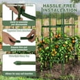 thumbnail image 5 of Spaco 3 Pack 60 inch Adjustable Tall Plant Support Trellis for Outdoor, Plant Support for Climbing Plants, Green, 5 of 11