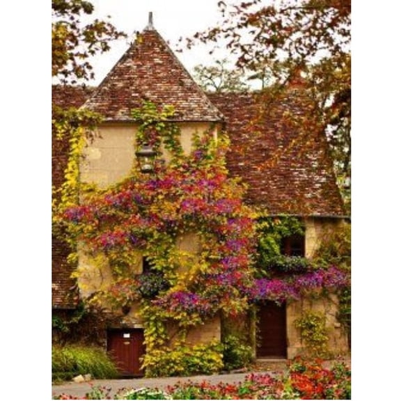 Outdoor Living and Style Brown and Purple Rozieres Outdoor Canvas Rectangular Wall Art Decor 40" x