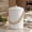 Beige, variant on Kitchen Compost Bin with Smell Proof Lid - Rust Proof and Odorless Compost Bucket for Your Countertop with No Smell Filters - Easy to Clean 1.1 Gallon Bin Looks Great On Any Kitchen Counter
