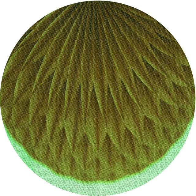 Ahgly Tapis Rond Lavable en Machine Intérieur Transitionnel Vert, 3 Pieds Rond