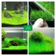 thumbnail image 2 of 1 Pc 304 Stainless Steel Wire Mesh Pad Aquarium Moss Net for Fish Tank Water Plants Decorations 8x8cm (Silver), 2 of 8