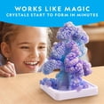thumbnail image 2 of Kit de cultivo Crystal para niños de NATIONAL GEOGRAPHIC con material de arte, 2 of 6